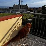 Sunhome Sea View And Direct Access Σαν Ρέμο