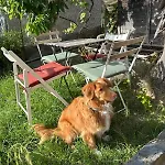 Sunhome Sea View And Direct Access * Sanremo