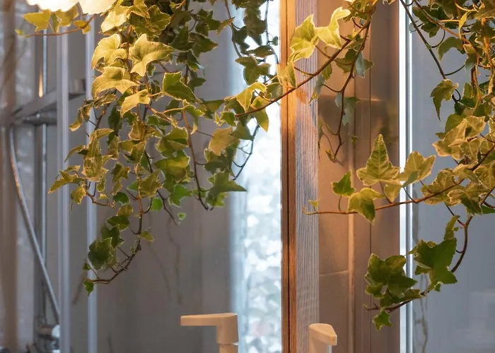 Sunhome Sea View And Direct Access * Sanremo